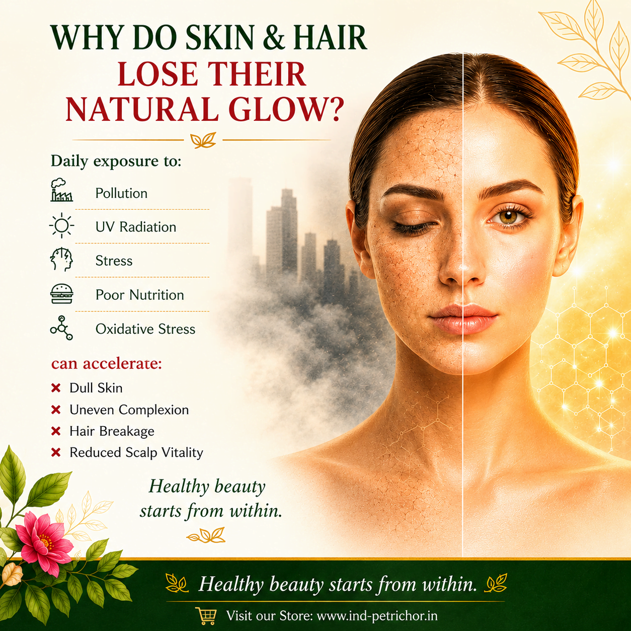Rejumist Skin & Hair Tea 2